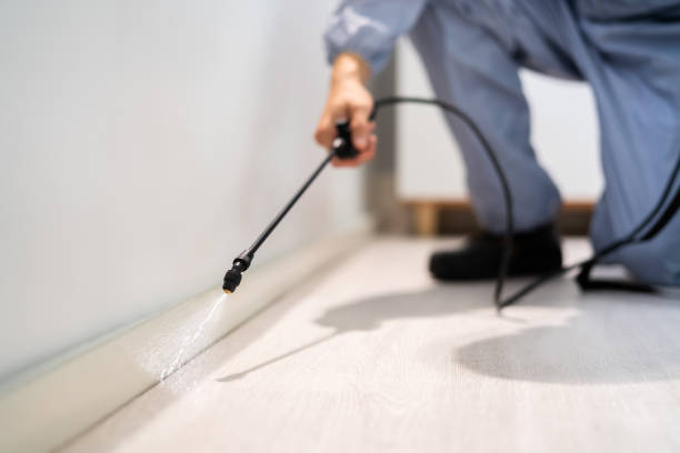 Licensed Mosquito Control service in Stigler, OK - Show Me Pest Control