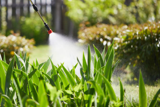 24/7 Emergency Mosquito Control experts in Stigler, OK